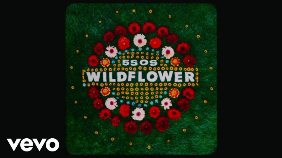 5 Seconds of Summer - Wildflower (Lyric Video)